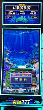 Descubra o Mundo do Cassino Online com Aua777